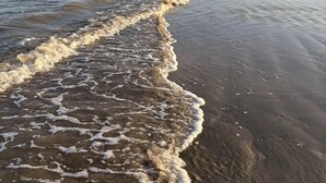 A beach with waves gently lapping onto the shore.