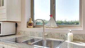 A kitchen with a stainless steel sink, a microwave, a window with a view of greenery, and a bottle of hand soap on the counter. - 1 Bed in Tenterden (oc-79130) (Tenterden)