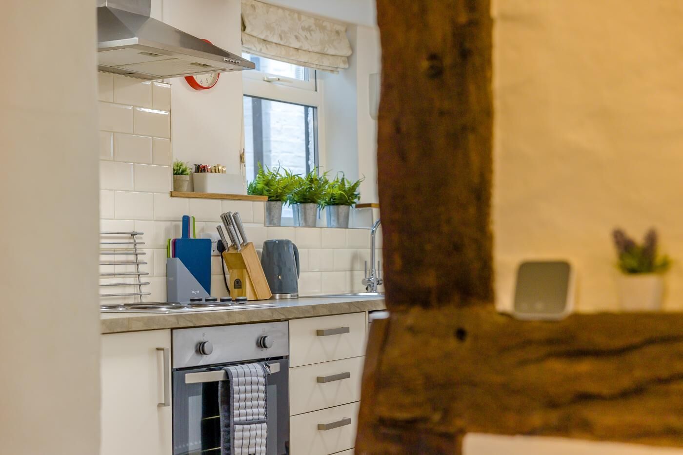 Microwave, oven, cookware/dishes/utensils