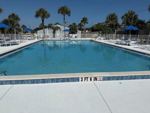 A rectangular swimming pool with a 3 ft 6 in depth marker, surrounded by lounge chairs and umbrellas, with palm trees in the background. - 1BR/1BA condo in Pensacola near Perdido Key, sleeps 4. (Perdido Key)