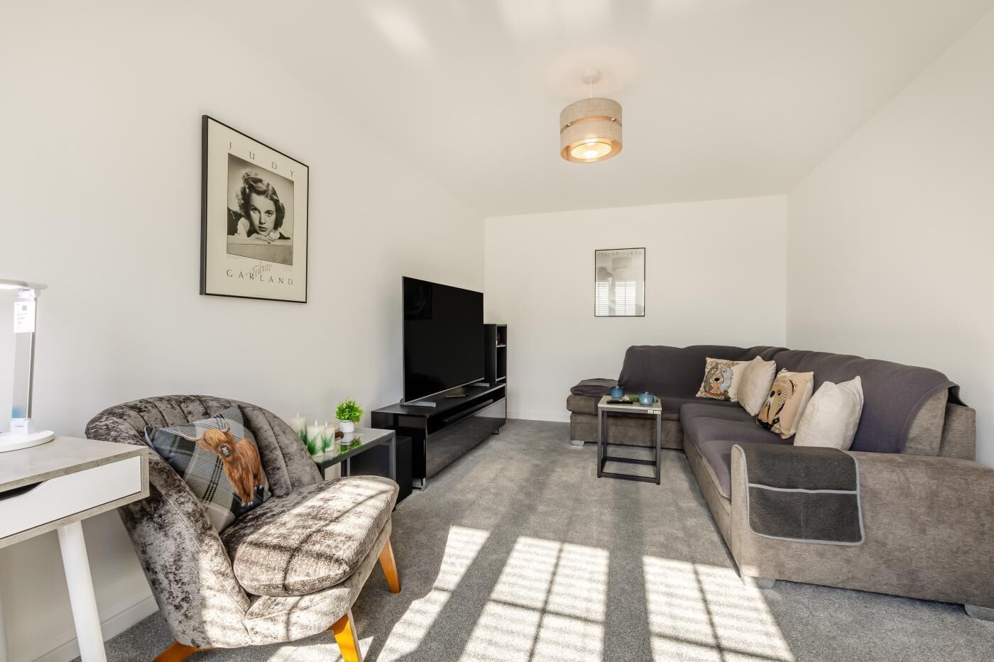 TV