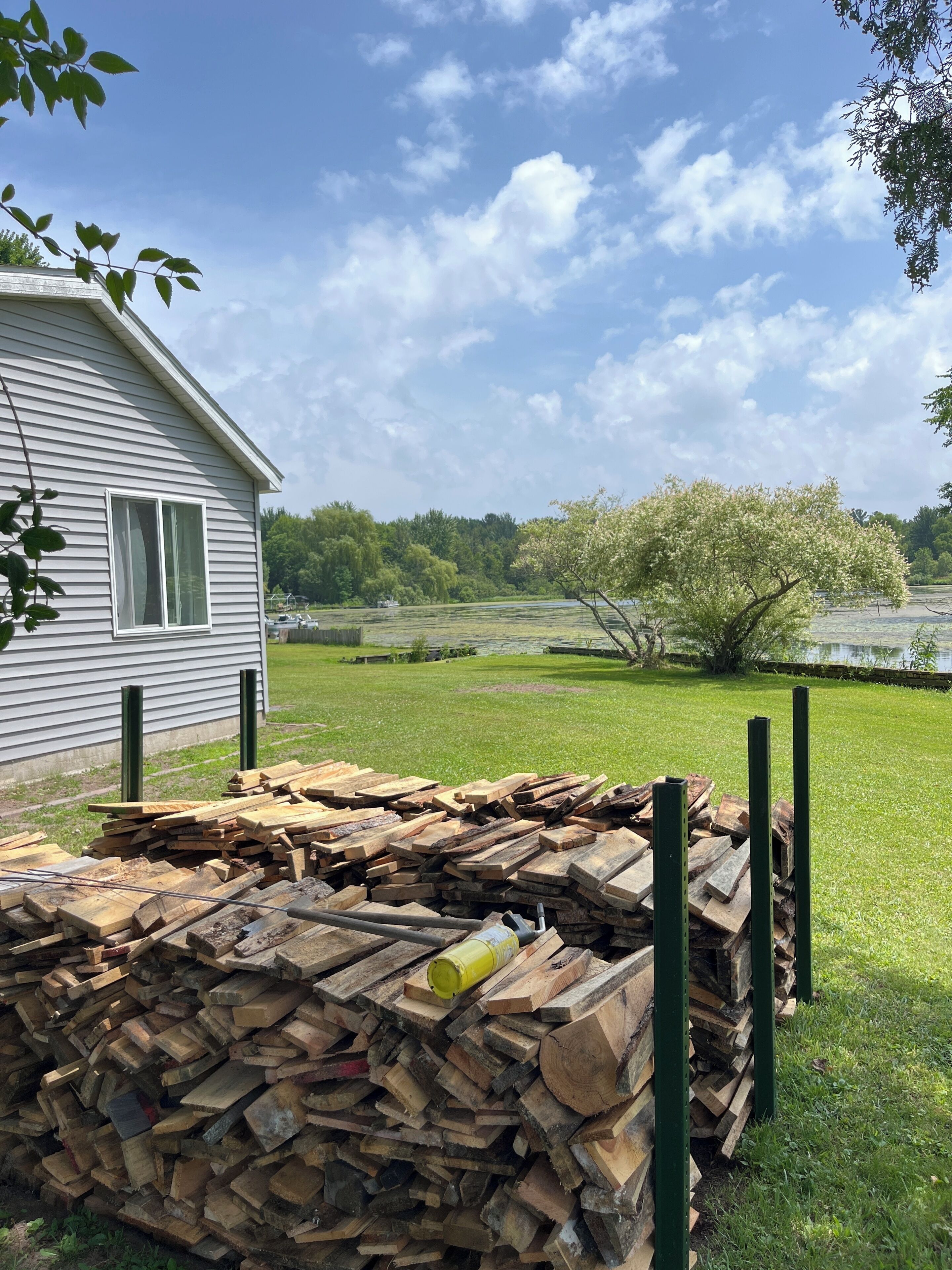 A house with a yard, a stack of firewood, and a tree with white blossoms.