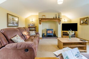TV, fireplace - 3 Bed in Llanidloes (oc-c38237) (Llanidloes)