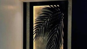 Niet-geclassificeerde afbeelding, 4 van 17, knop