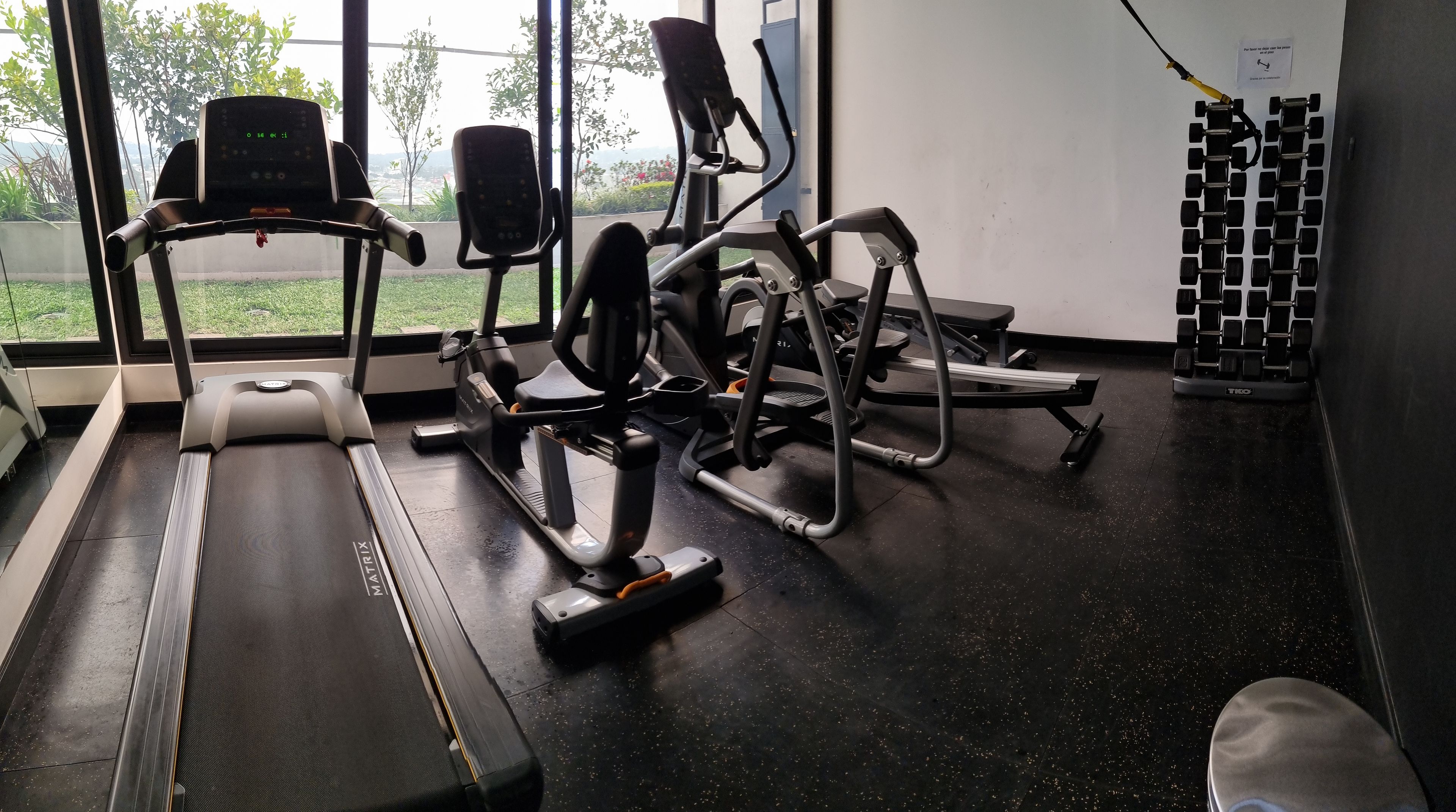 A gym with cardio machines, weight equipment, and a view of greenery outside.