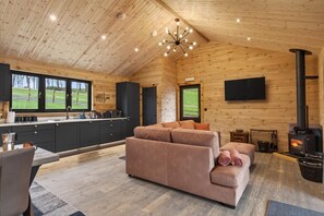 Fernseher, Kamin