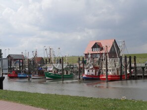 Un port où sont amarrés plusieurs bateaux de pêche, un bâtiment avec un toit rouge et une zone herbeuse au premier plan.