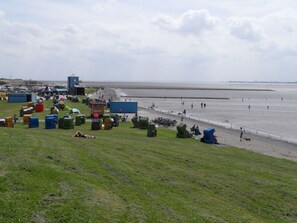 Une zone côtière comprenant une plage, des espaces couverts d’herbe et diverses constructions, notamment des tentes et des conteneurs.