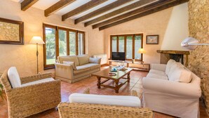 Una sala de estar con chimenea, ventanas amplias y televisor.