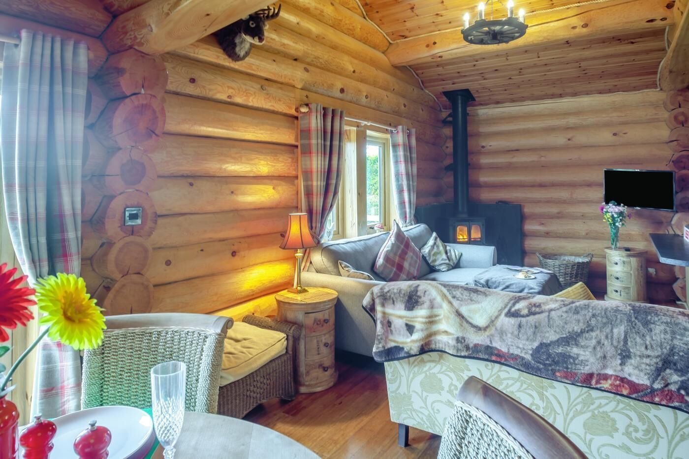 TV, fireplace