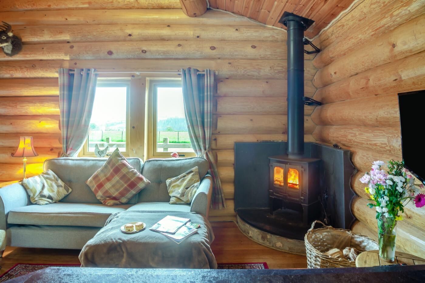 TV, fireplace