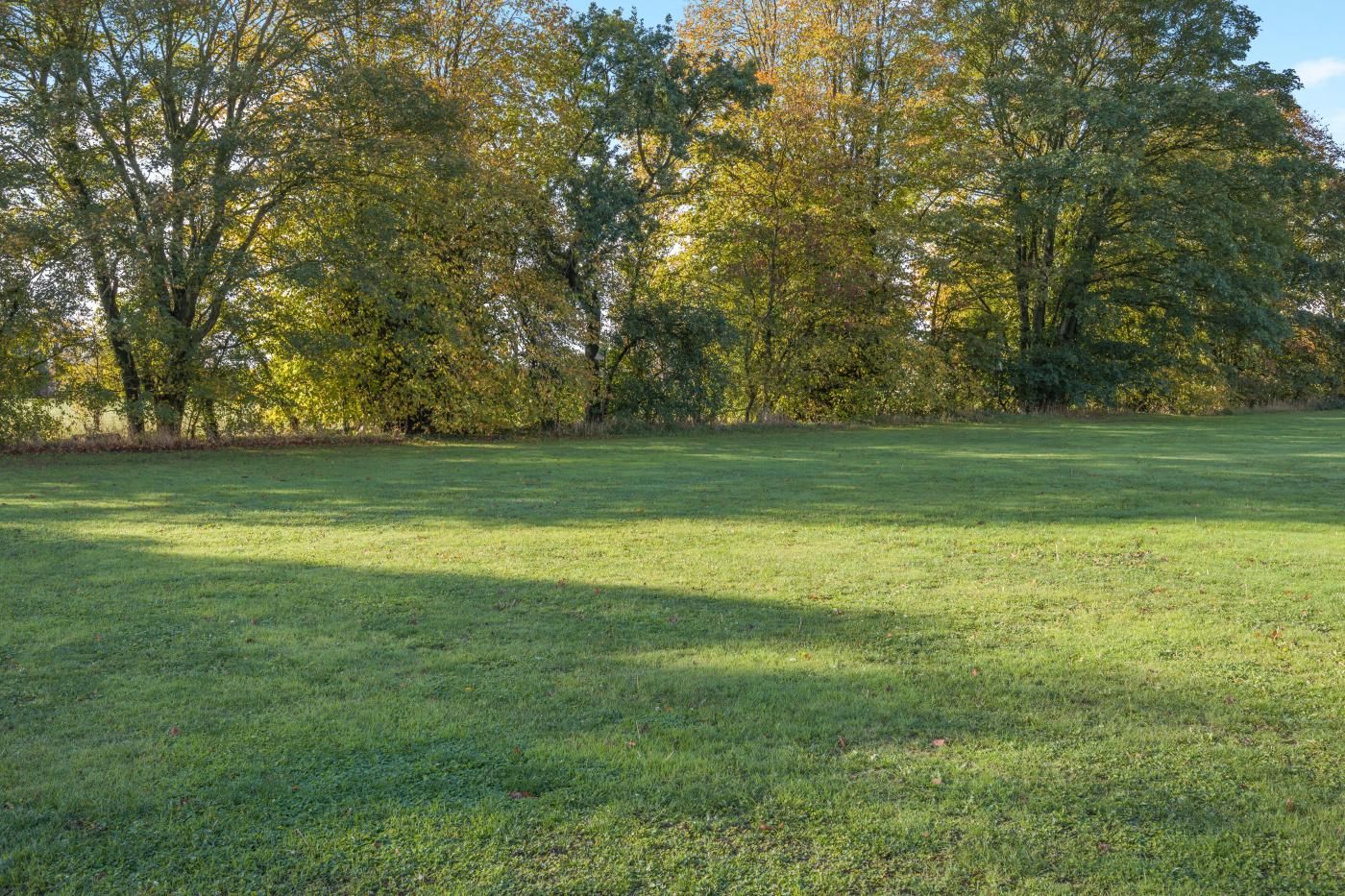 Een grasveld met bomen op de achtergrond.