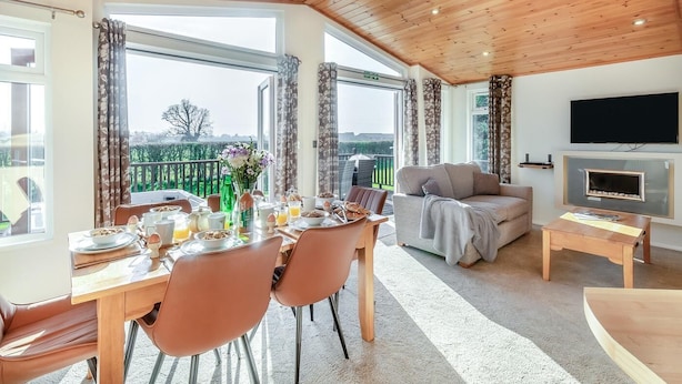 تلفزيون