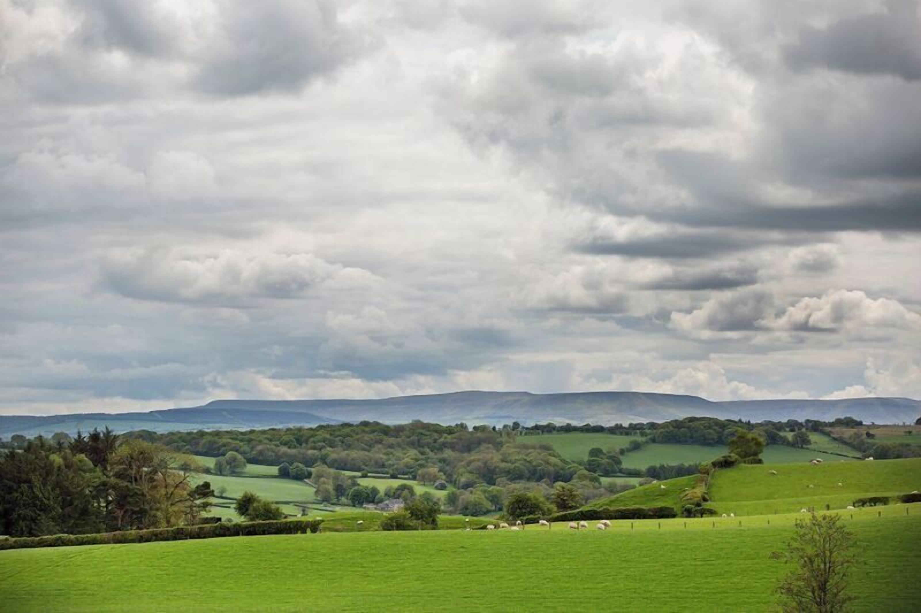 Un paysage rural caractérisé par des collines douces, des champs verdoyants et des arbres dispersés.