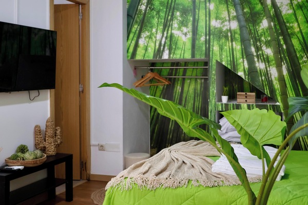 Apartment, City View | WiFi (free)