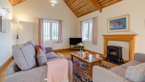 Uma sala de estar acolhedora com lareira, sofás, televisão e teto de madeira.