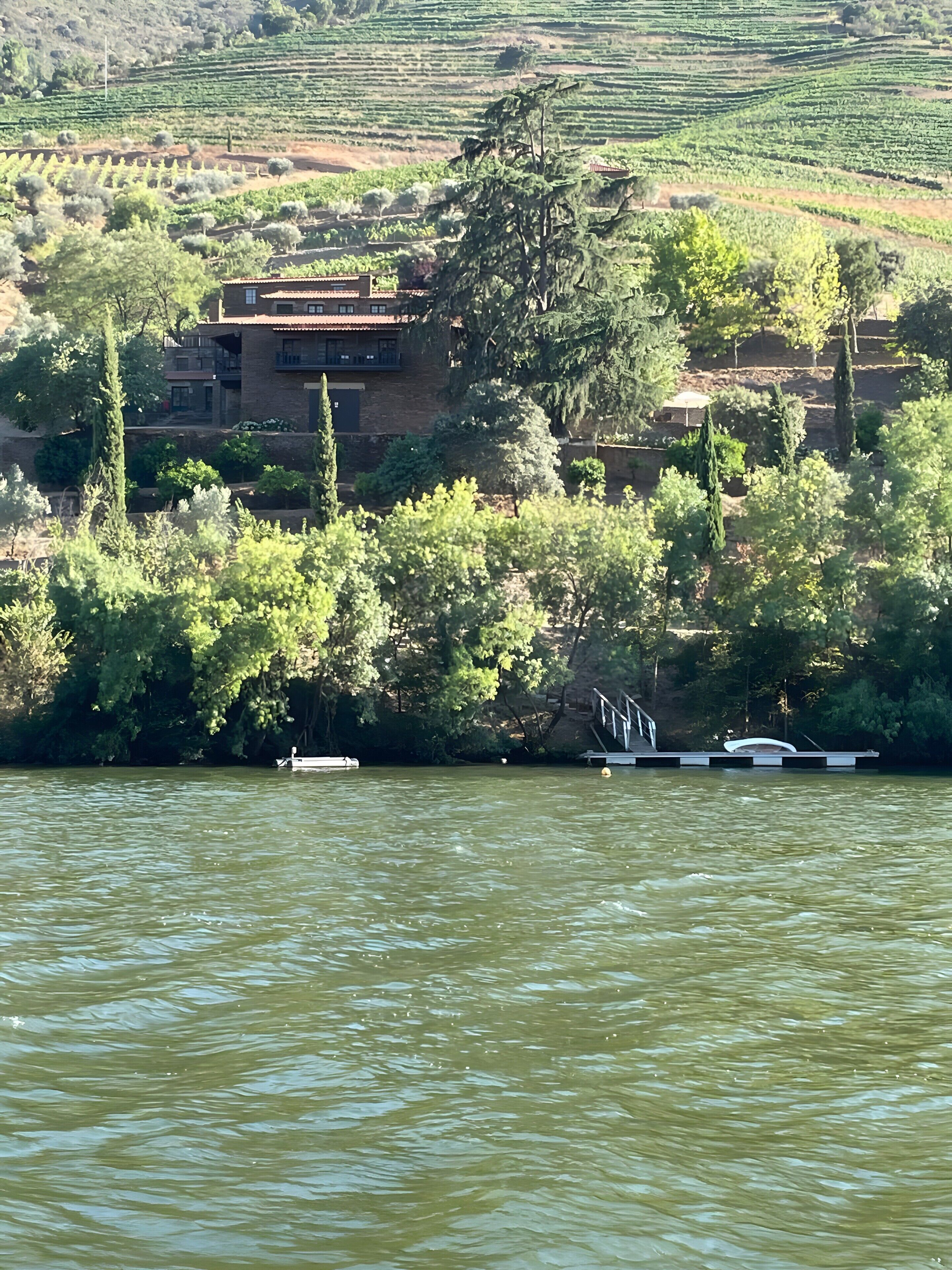 A riverside view with a building surrounded by trees and vineyards.