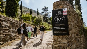 Eine Steinsäule mit dem Schild Quinta de S. Jose, das anzeigt, dass es sich um einen Familienbesitz mit Ferienhäusern, einem Weinkeller und einem einzigartigen Tourismusangebot handelt.