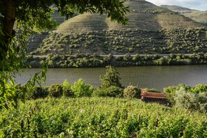 Un vignoble avec des terrasses, une étendue d’eau et un petit bâtiment.