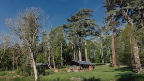 Eine rustikale Holzhütte mit einem Reetdach, umgeben von hohen Bäumen und einem ruhigen Teich.