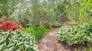 A garden pathway surrounded by lush greenery and various flowering plants.