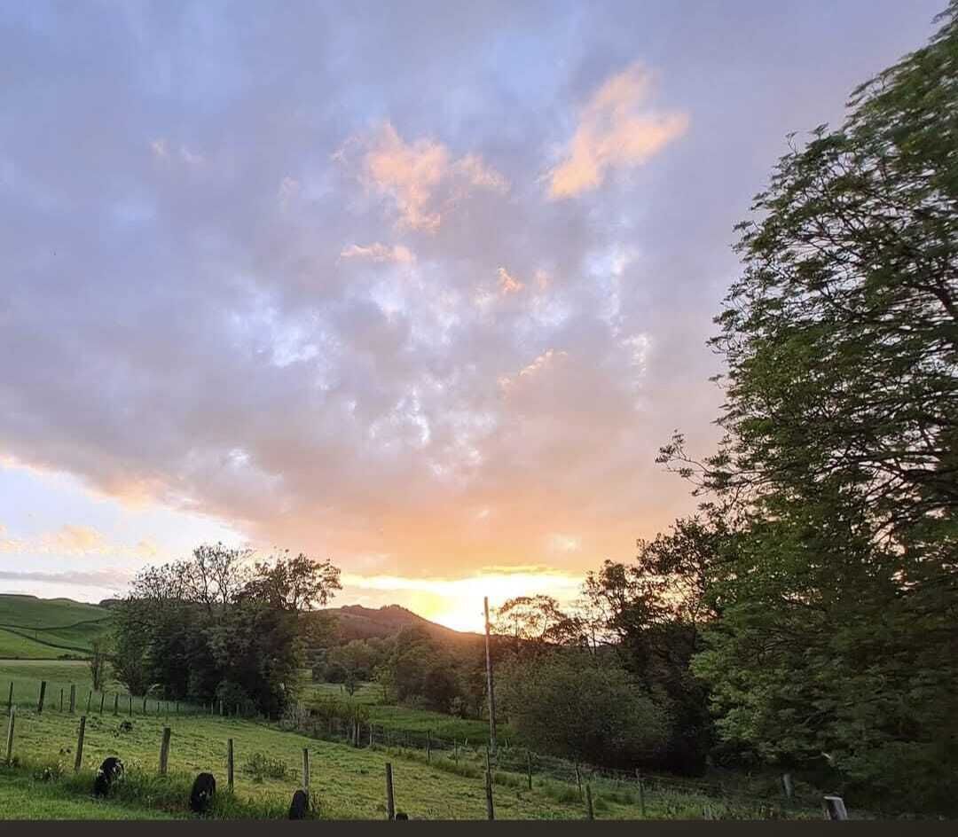 Ländliche Landschaft mit einem Zaun, Bäumen und hügeligem Hintergrund.