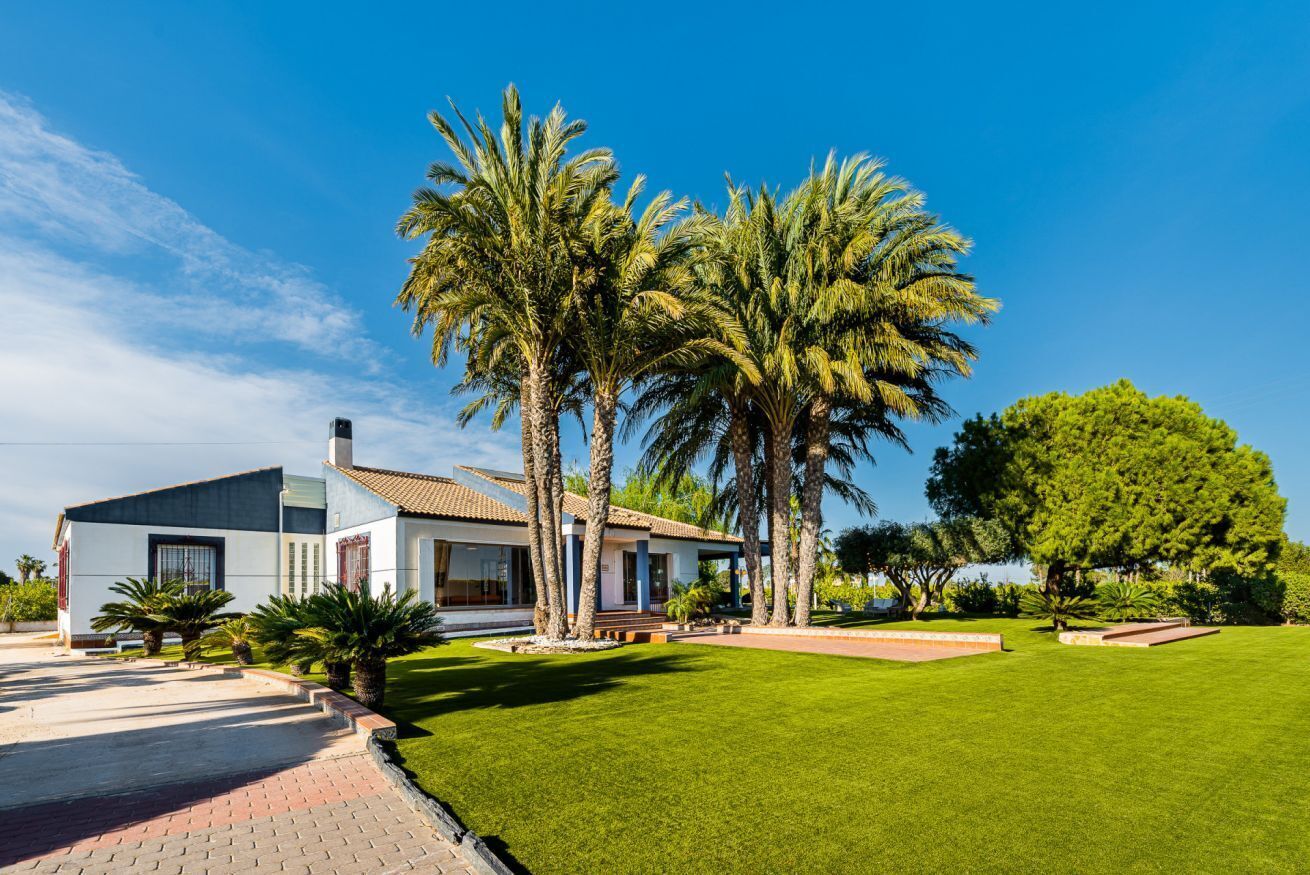Ein modernes Haus mit gepflegtem Rasen, Palmen und blauem Himmel.