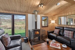 Fernseher, Kamin