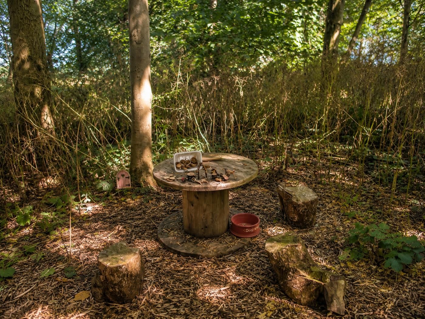 A rustic outdoor setting with a wooden table surrounded by natural elements like trees and logs.