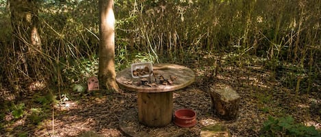 A rustic outdoor setting with a wooden table surrounded by natural elements like trees and logs.