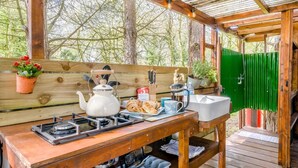 Una cocina campestre de madera con estufa a gas, hervidor y cafetera, rodeada de plantas en macetas y una puerta verde.