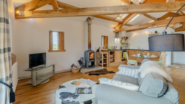 A cozy living room with a fireplace, a television, and a sofa. - 1 Bed in Shap (oc-t41418) (Shap)