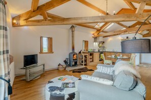 Een gezellige woonkamer met een open haard, een televisie en een bank.