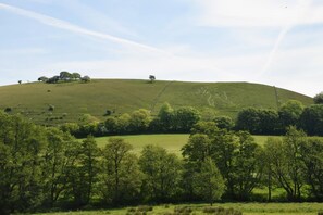 Unclassified image, 3 of 5, button - 3 Bed in Piddlehinton (oc-c40254) (Piddlehinton)