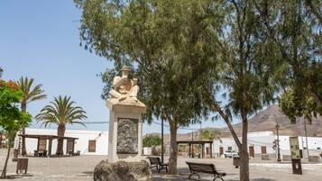 A plaza with a statue, benches, and palm trees.