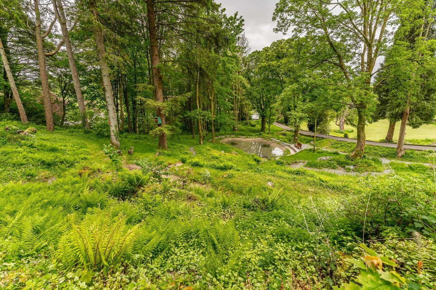 A lush green landscape with a pond, trees, and a pathway.
