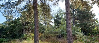 Appartement Belle Dune: entre lac, mer et forêt de pins
