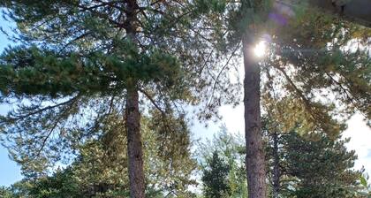 Belle Dune Apartment: Between the Lake, the Sea, and the Pine Forest