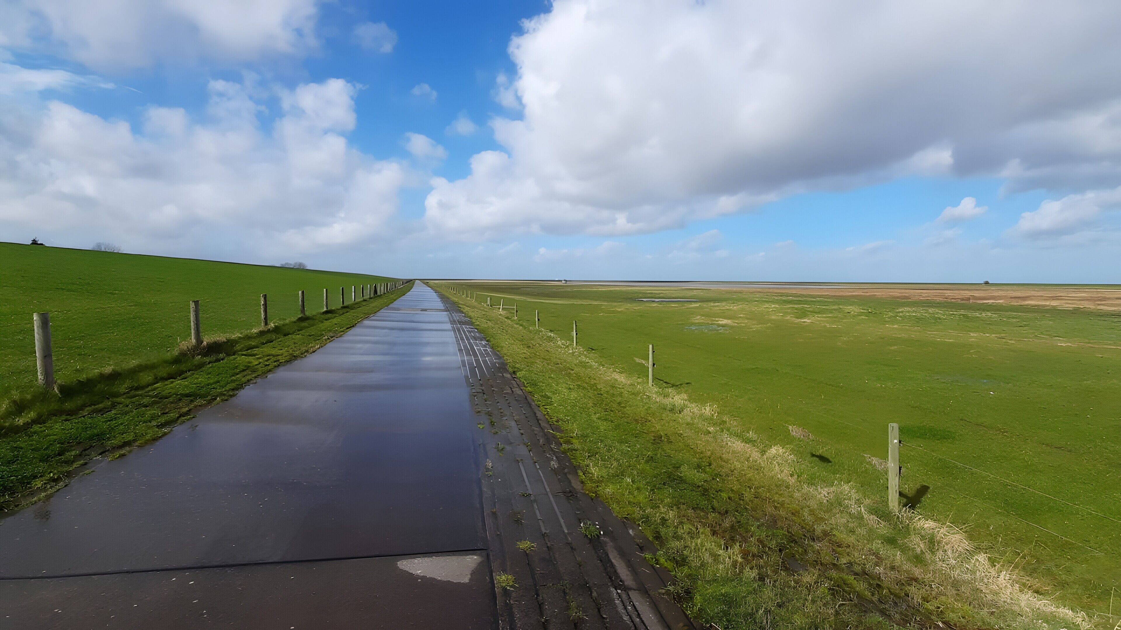 Une route de campagne, avec une clôture d’un côté et un champ herbeux de l’autre.