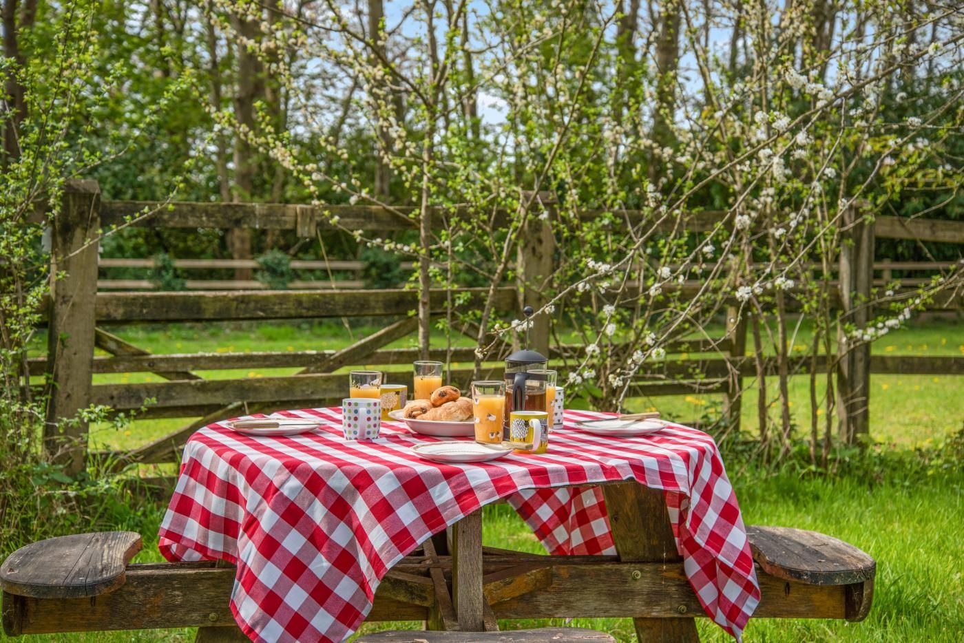 A picnic table with a checkered tablecloth, surrounded by a wooden fence and blooming trees.