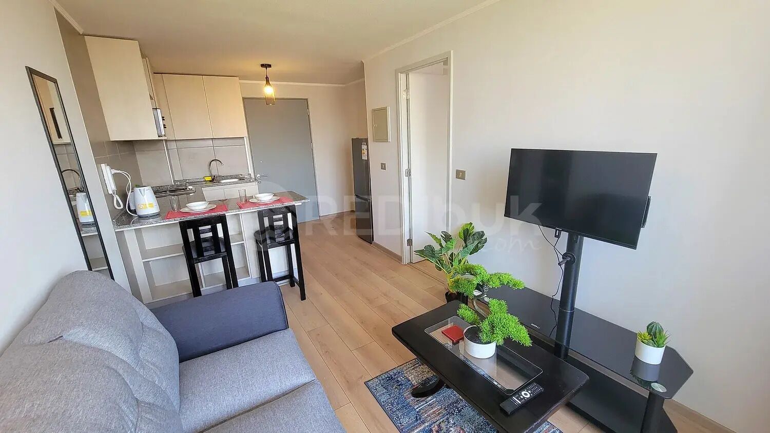 A compact living space with a kitchenette, a flat-screen TV, a sofa, and a coffee table with plants.