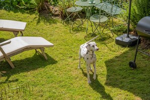 A dog in a grassy outdoor area with a table and chairs, a grill, and a bench.