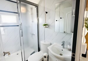 A modern bathroom with a glass shower enclosure, a toilet, a sink, and a mirror.