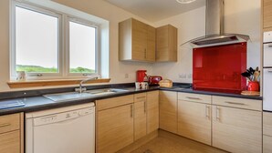Eine moderne Küche mit Geschirrspüler, Spüle und Fenster.