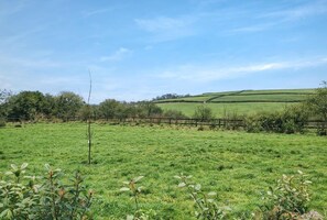 Property grounds - 2 Bed in Dulverton (oc-h34793) (Brushford)