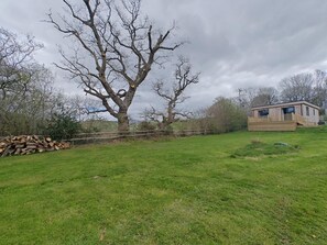 Property grounds - 2 Bed in Tyn-y-Groes (oc-w42450) (Ty'n-y-groes)