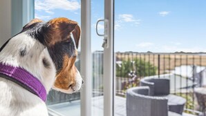 A dog looking out a window with a view of a fenced outdoor area. - 3 Bed in Weymouth (oc-f41734) (Weymouth)