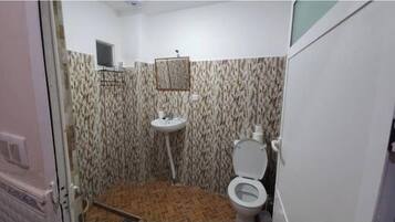 Shower, hair dryer, bidet