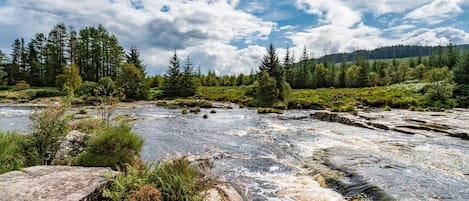 Une rivière bordée de rochers et de végétation, entourée d’arbres.