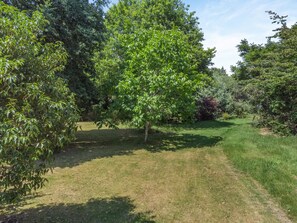 A well-maintained garden with a variety of trees and a clear path. - 4 Bed in Sherborne (oc-82941) (Ryme Intrinseca)